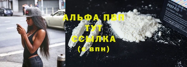 стаф Карталы