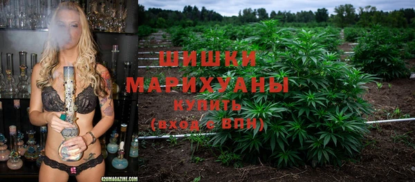 стафф Карпинск