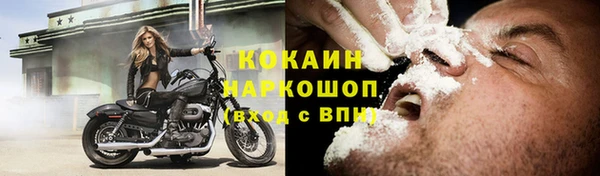 стаф Карталы