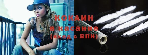 стафф Карпинск