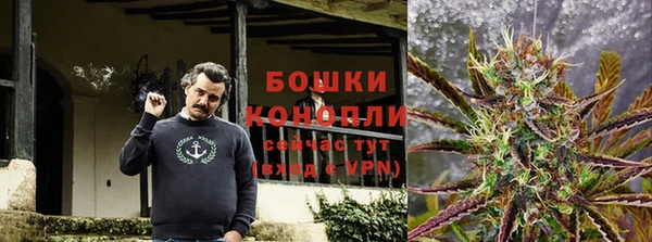 стаф Карталы