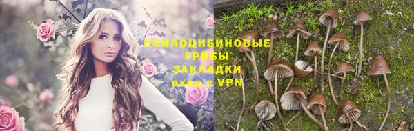 меф Касимов