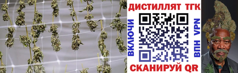 Дистиллят ТГК Wax  Купить закладки  Ермолино 