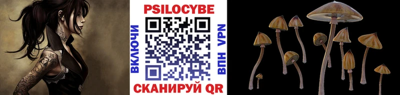 Купить где  Ермолино  Галлюциногенные грибы Psilocybe 